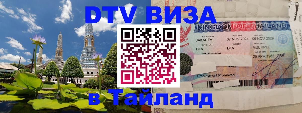 Оформление DTV визы под ключ: стоимость и тарифы, только загранпаспорт - Обнинск  02.10.2025 